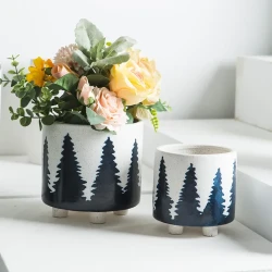 Suculentas Plantas en Maceta Macetas Plantas Verdes Flores Simples