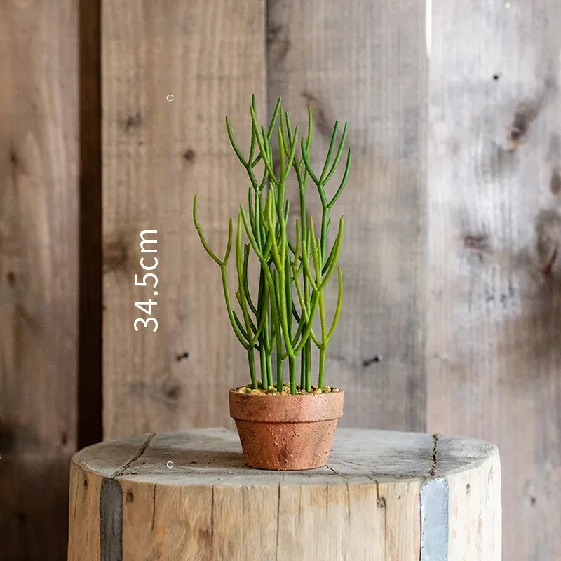 Simulación de plantas grandes