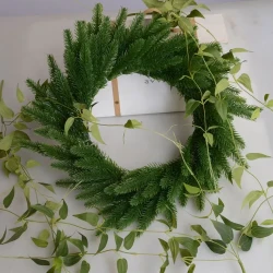Simulación de plantas verdes