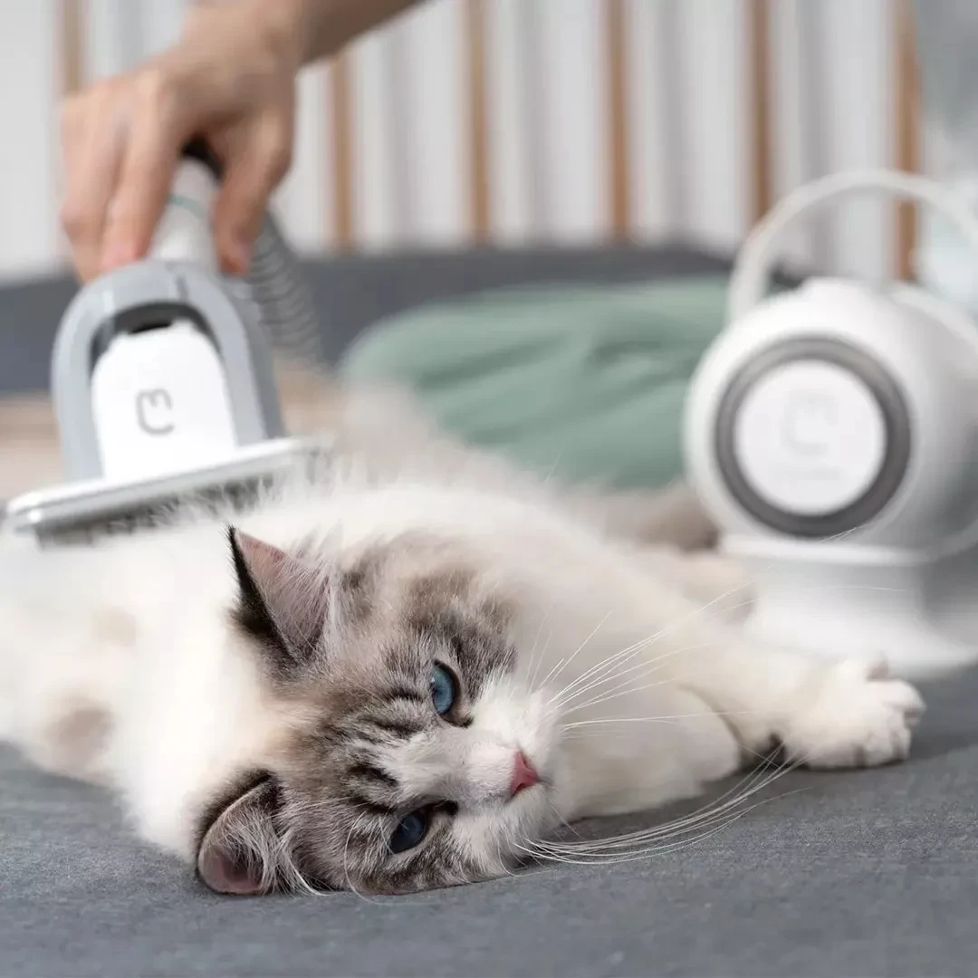 Peluquería multifuncional para mascotas Beauty Pet