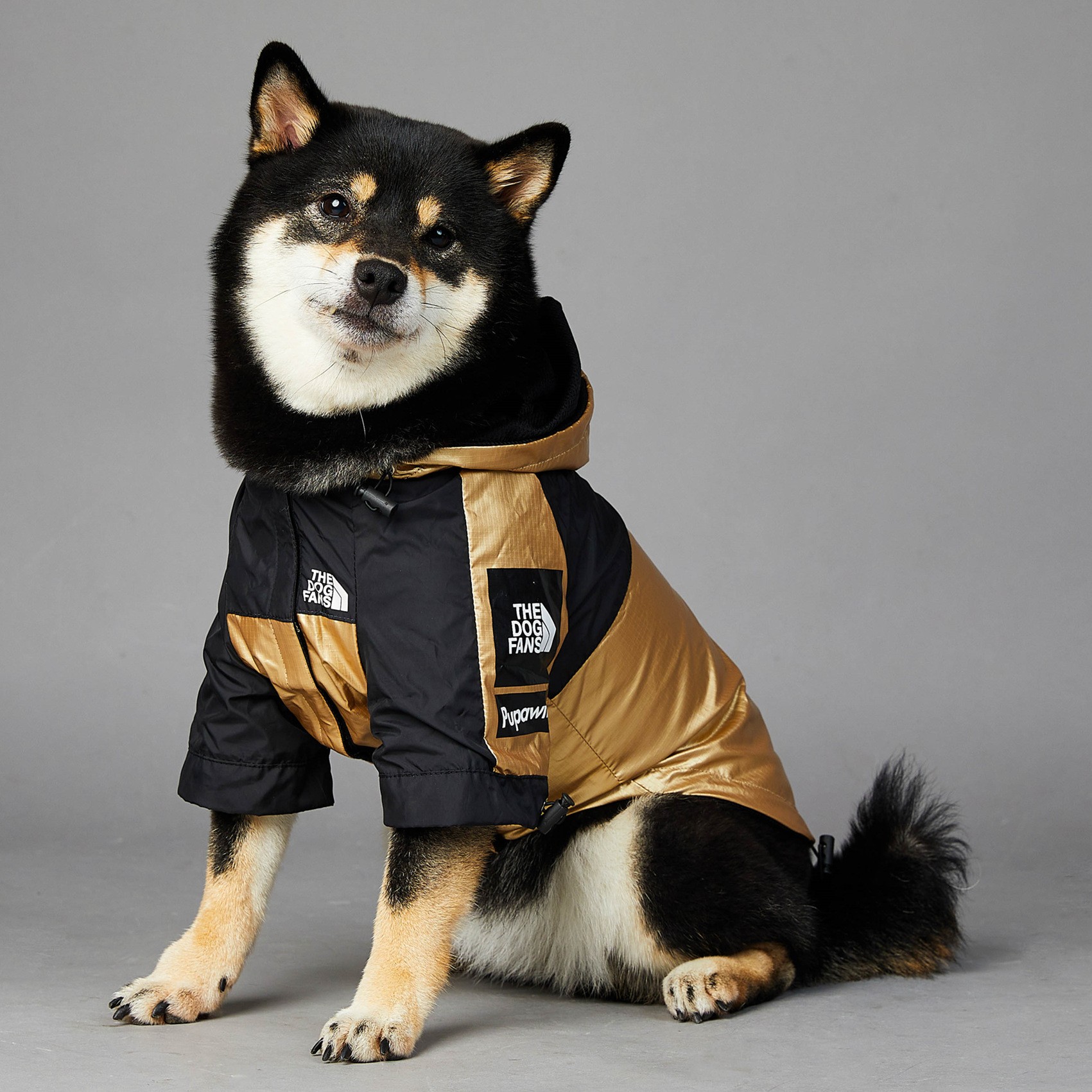 Chaqueta impermeable para perros grandes