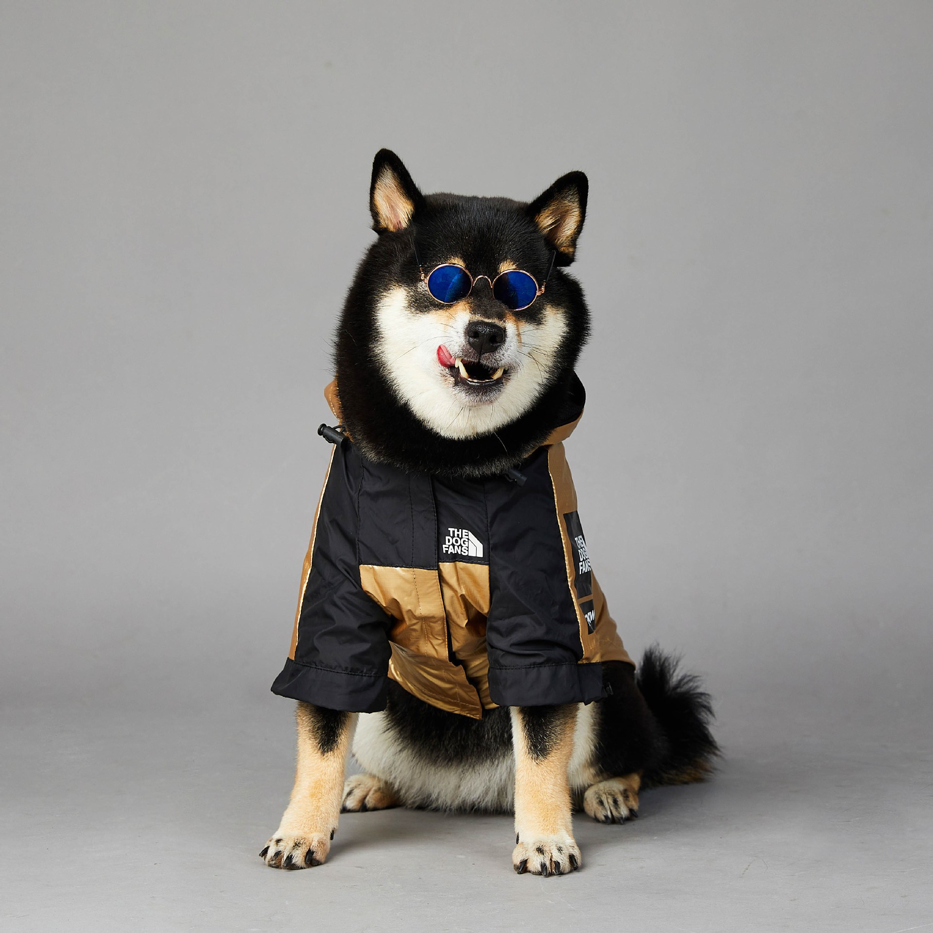 Chaqueta impermeable para perros grandes