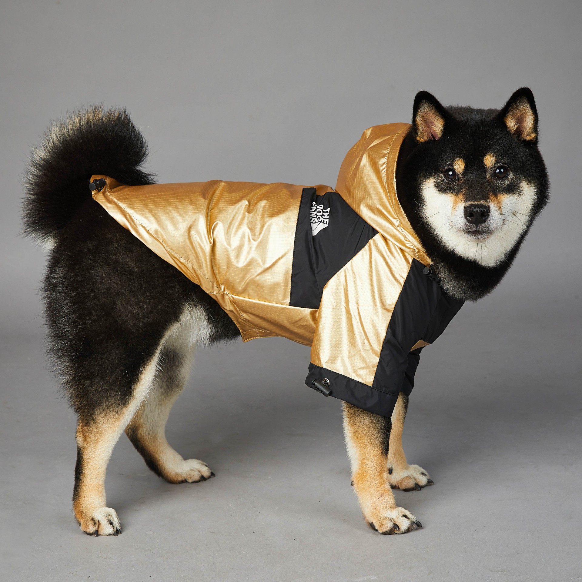 Chaqueta impermeable para perros grandes