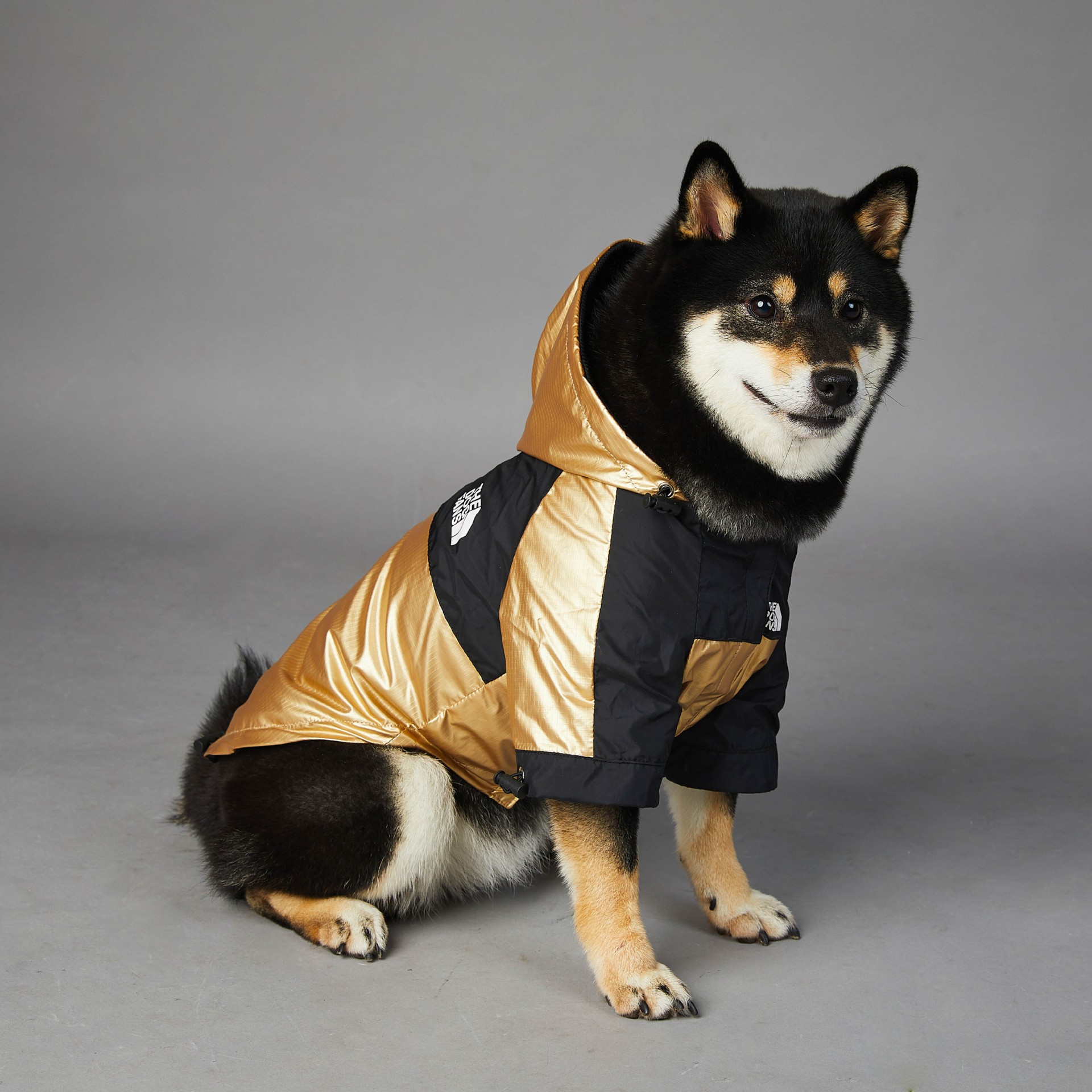 Chaqueta impermeable para perros grandes