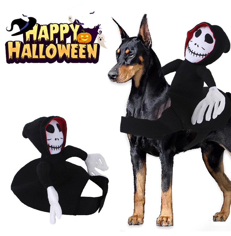 NUEVO disfraz divertido de Halloween para mascotas, decoración de Halloween para mascotas, disfraz de cosplay para mascotas, ropa de Halloween para mascotas, chaleco de calabaza araña