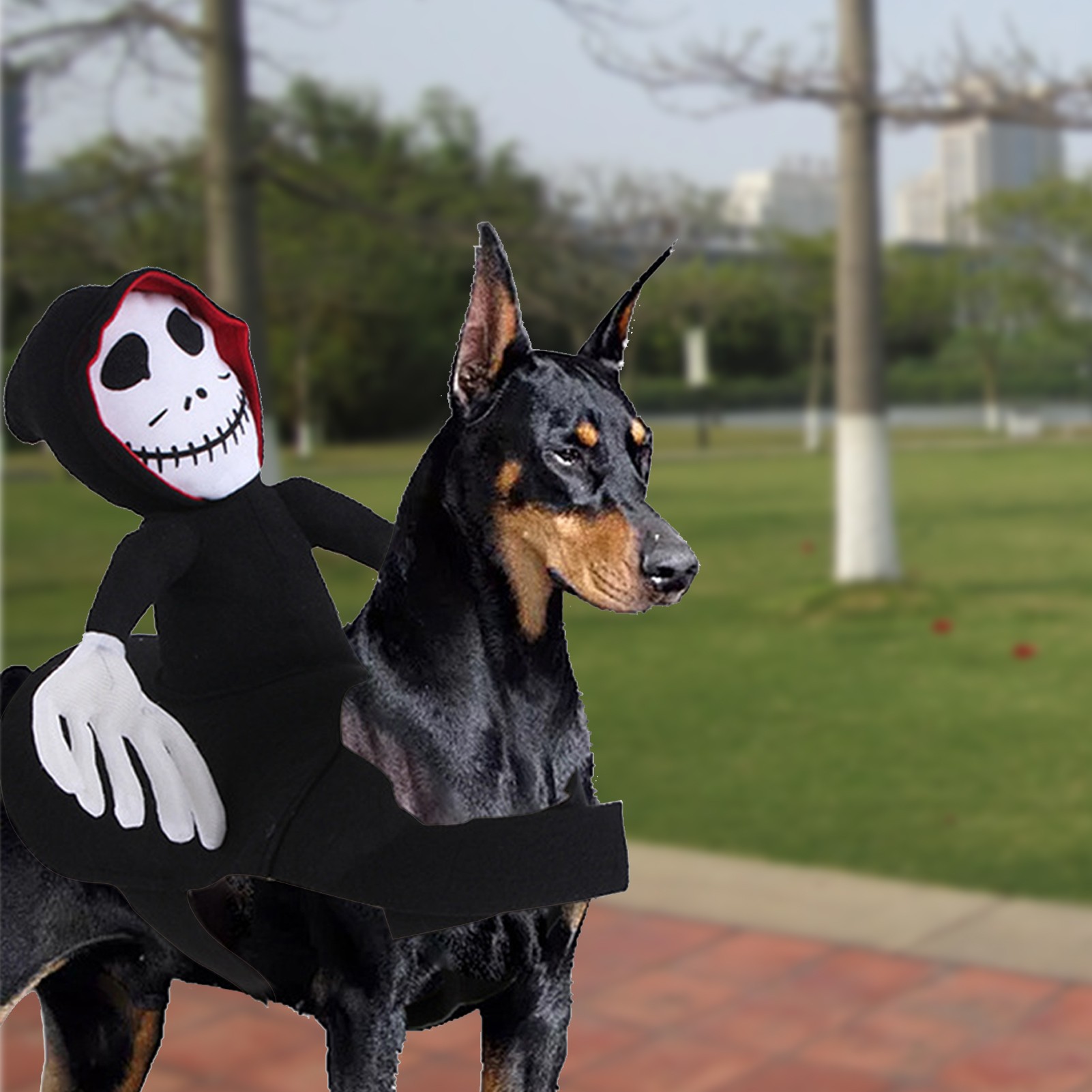NUEVO disfraz divertido de Halloween para mascotas, decoración de Halloween para mascotas, disfraz de cosplay para mascotas, ropa de Halloween para mascotas, chaleco de calabaza araña