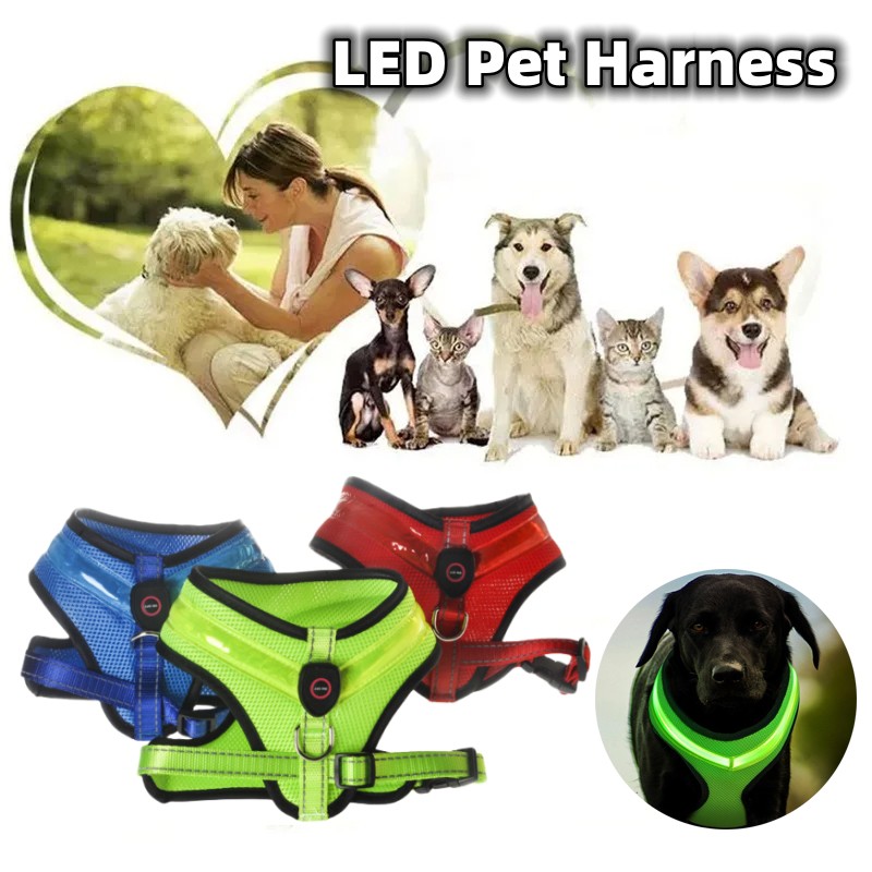 Arnés luminoso LED para perros con carga USB, correa para el pecho, reflectante de seguridad, para cachorros y perros grandes.