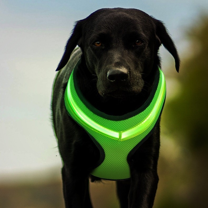 Arnés luminoso LED para perros con carga USB, correa para el pecho, reflectante de seguridad, para cachorros y perros grandes.