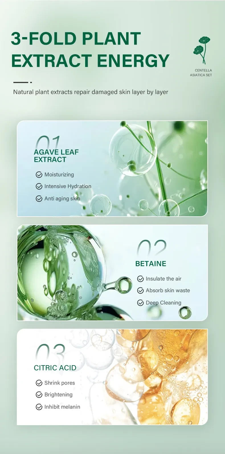 Cosméticos combinados para el cuidado facial de la piel Grass Set
