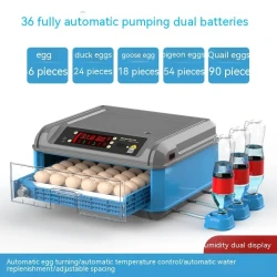 Incubadora doméstica automática de rutina para pollos.