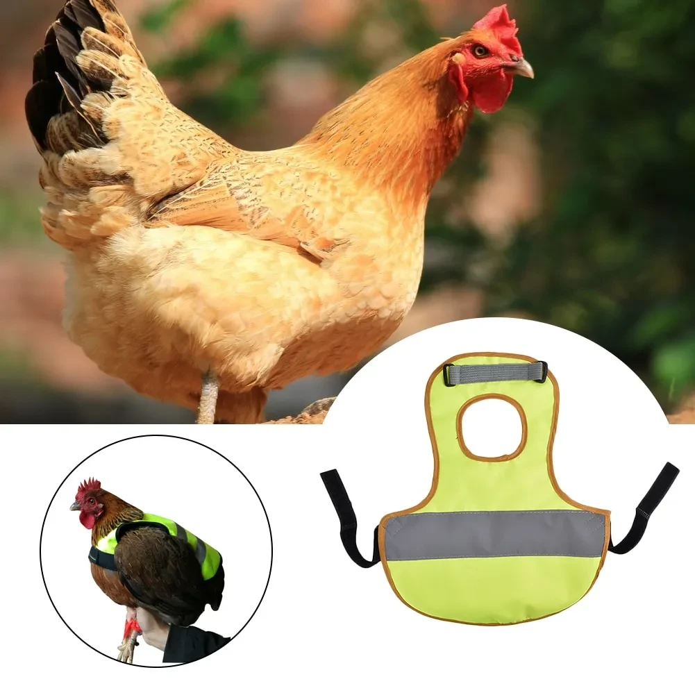 Chaleco reflectante para pollos