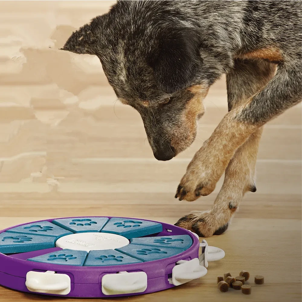 Juguetes educativos para perros