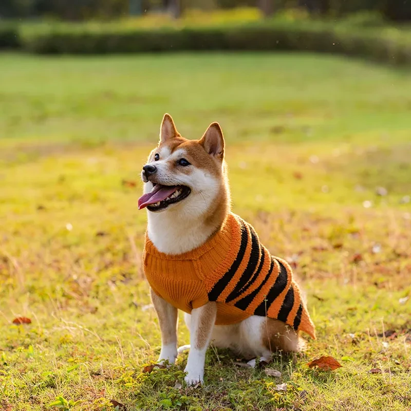 Suéteres para perros de Halloween, disfraz para mascota