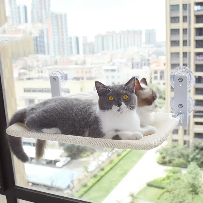 Hamaca de cristal con ventosa para gatos