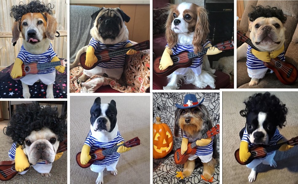 Vestido de guitarrista para perro mascota