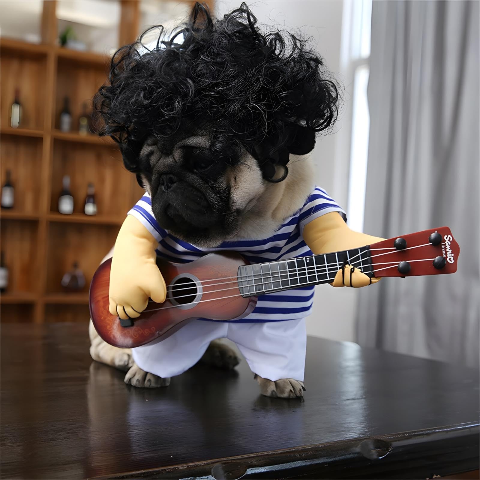 Vestido de guitarrista para perro mascota