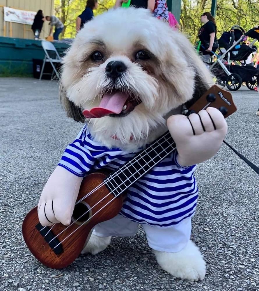 Vestido de guitarrista para perro mascota
