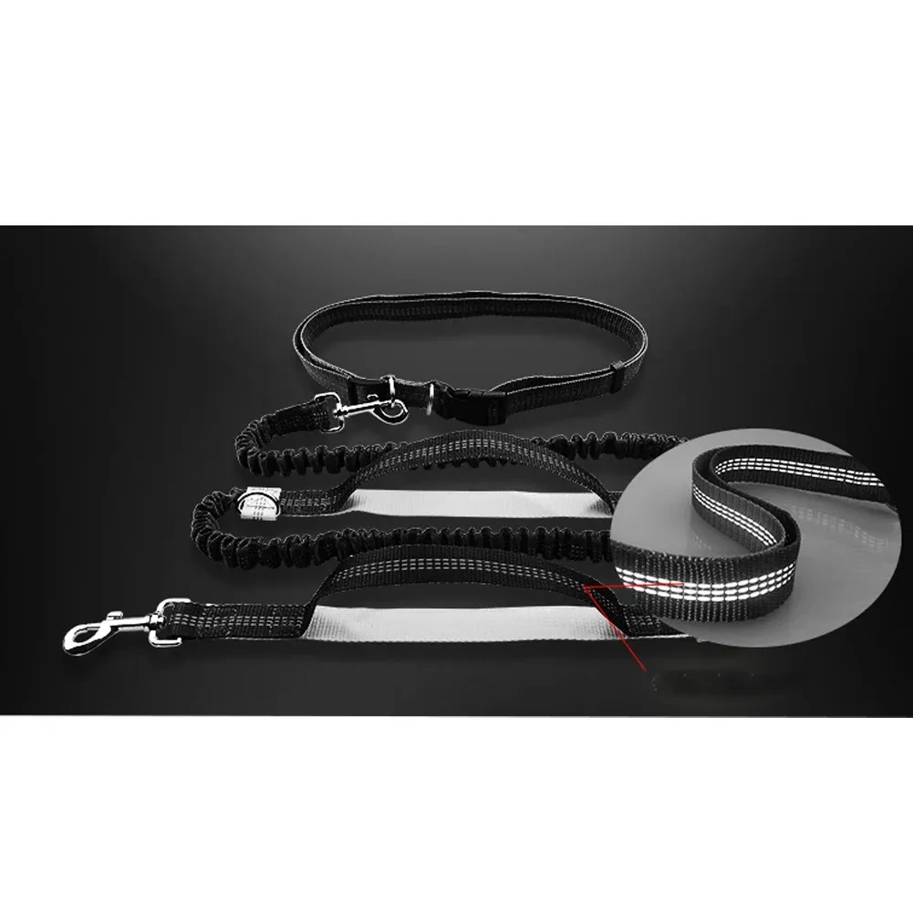 Correa reflectante para perros con doble elástico para correr