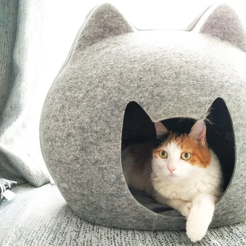Casa para mascotas cerrada con arena para gatos
