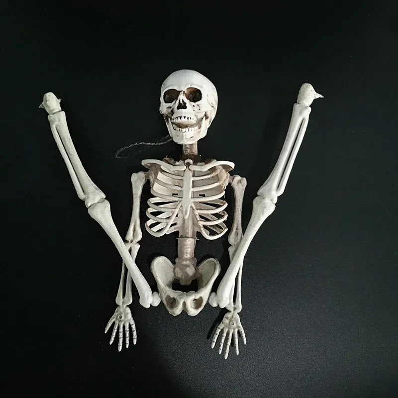 Esqueleto de Halloween