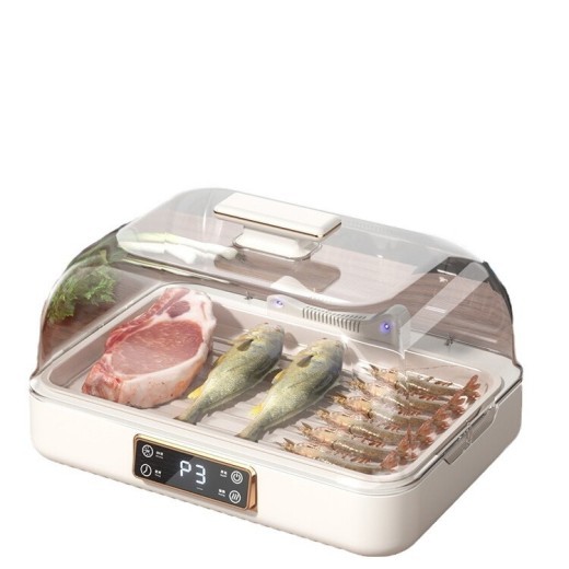 Artefacto de descongelación a temperatura constante, placa de transferencia de calor para carne de res, hogar