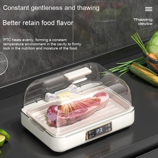 Artefacto de descongelación a temperatura constante, placa de transferencia de calor para carne de res, hogar