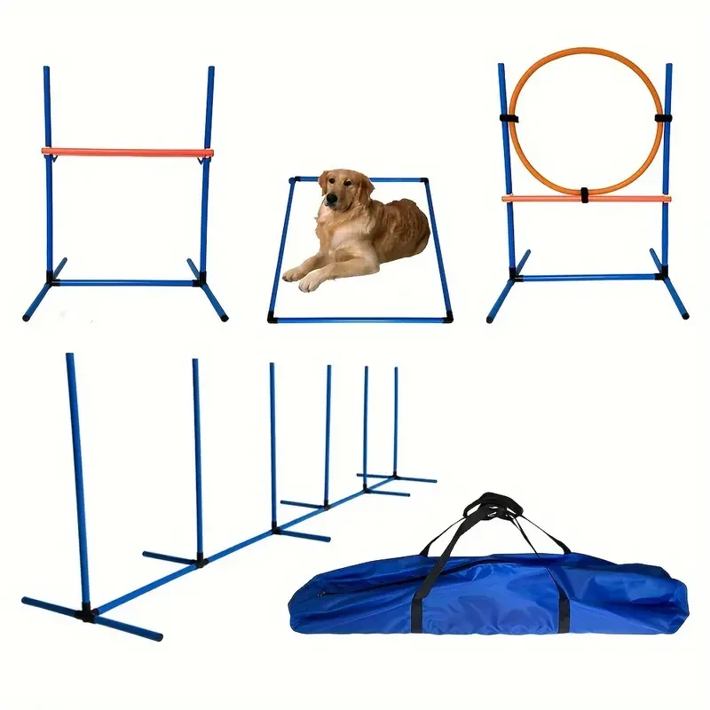 Kit completo de entrenamiento de agilidad para perros