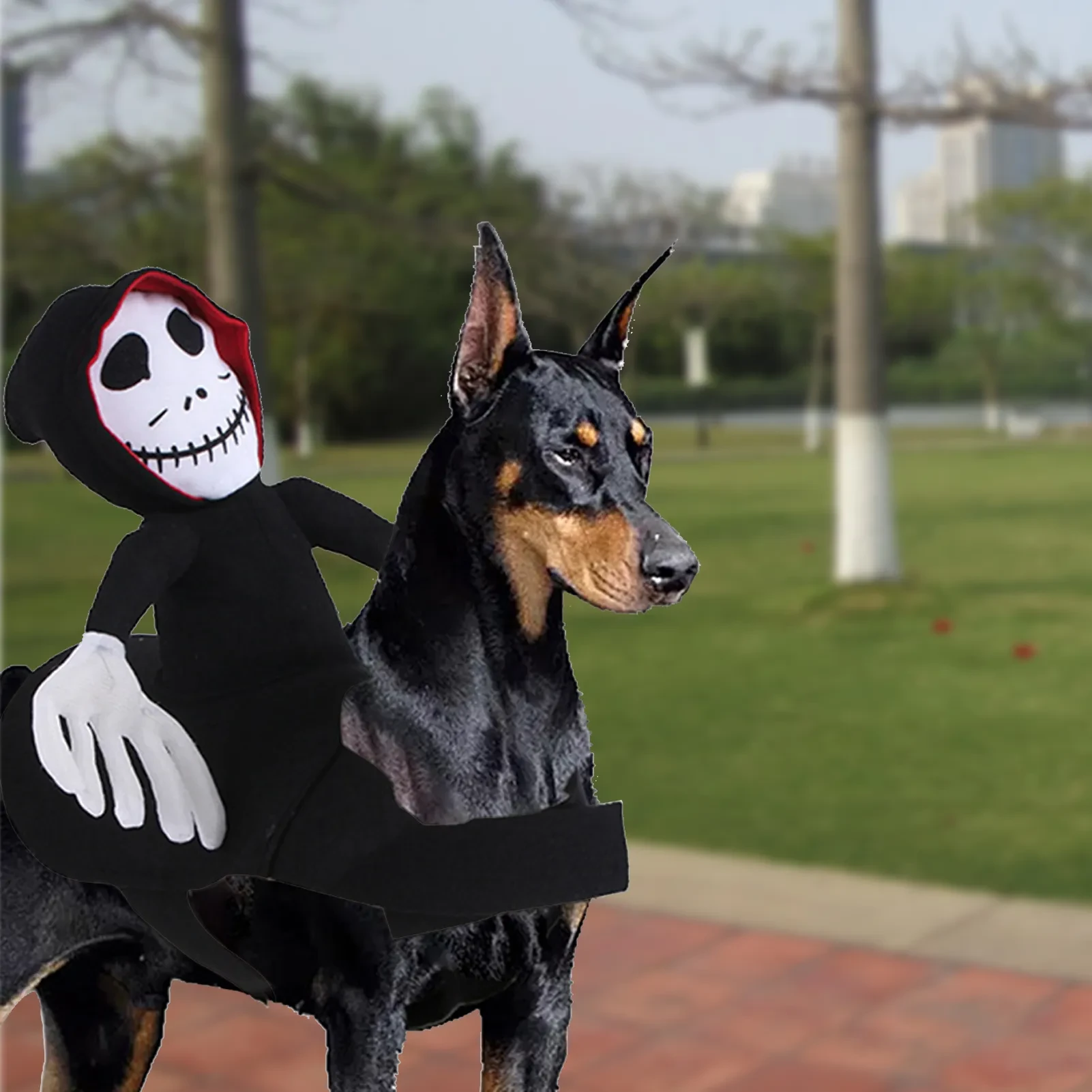 Disfraz de Halloween para mascota