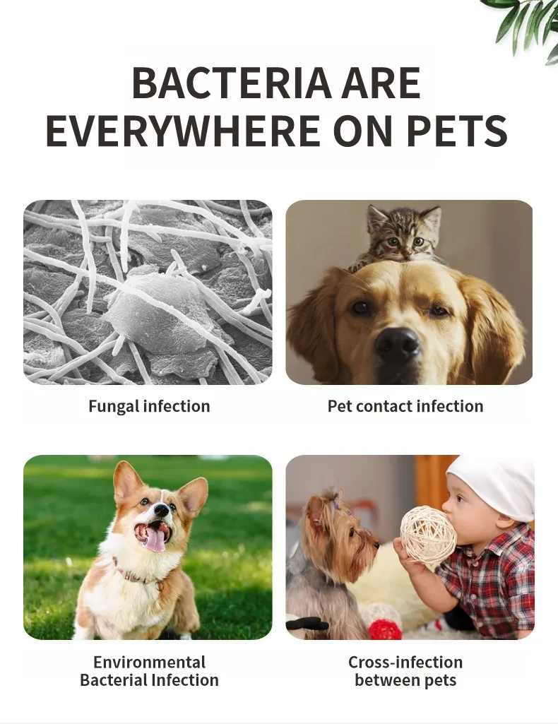 Peine esterilizador germicida para mascotas