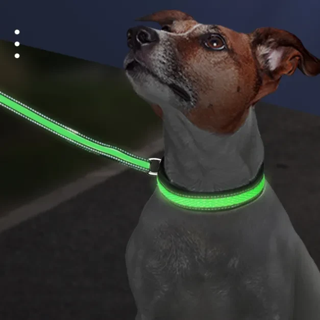 Collar de malla de nailon luminoso con LED para mascotas, puerto de carga tipo C, resistente al agua