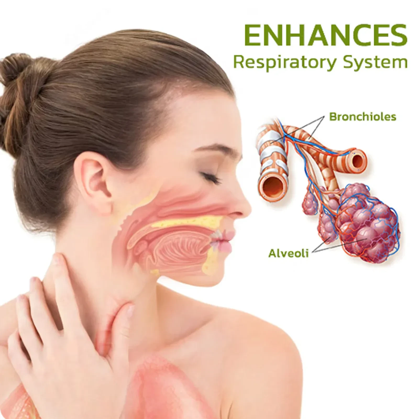 Spray de hierbas naturales para el cuidado del hogar