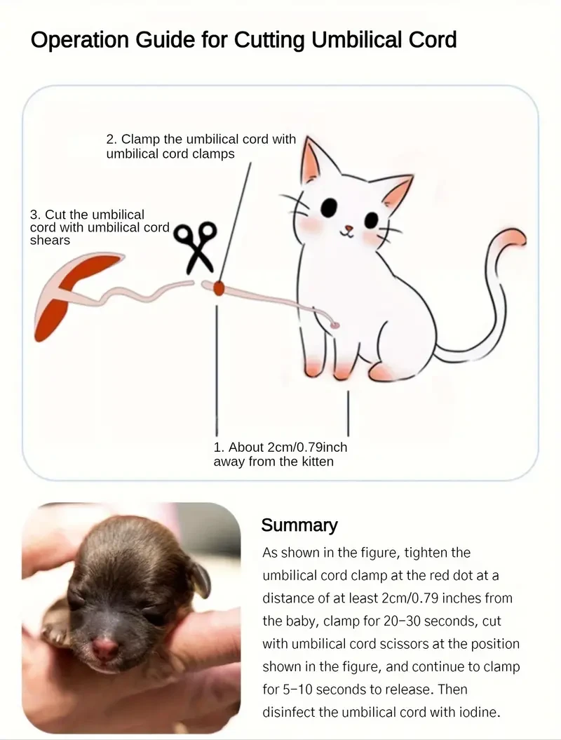 Kit completo de parto para cachorros Youngsters con sondas de alimentación, aspirador de líquido amniótico, cortador de cordón umbilical, 12 collares de colores, 10 pinzas, guantes e hisopos - Artículos para el parto de perros