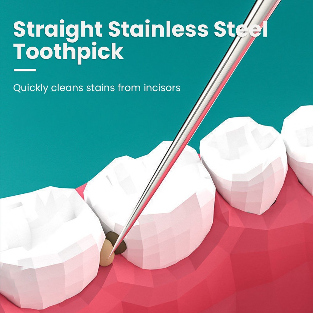 Juego de palillos de dientes portátiles de acero inoxidable de 8 piezas