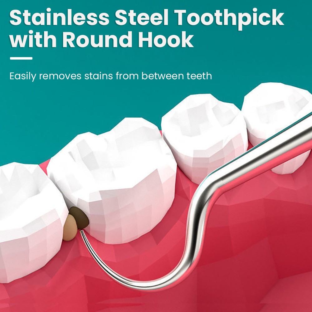 Juego de palillos de dientes portátiles de acero inoxidable de 8 piezas