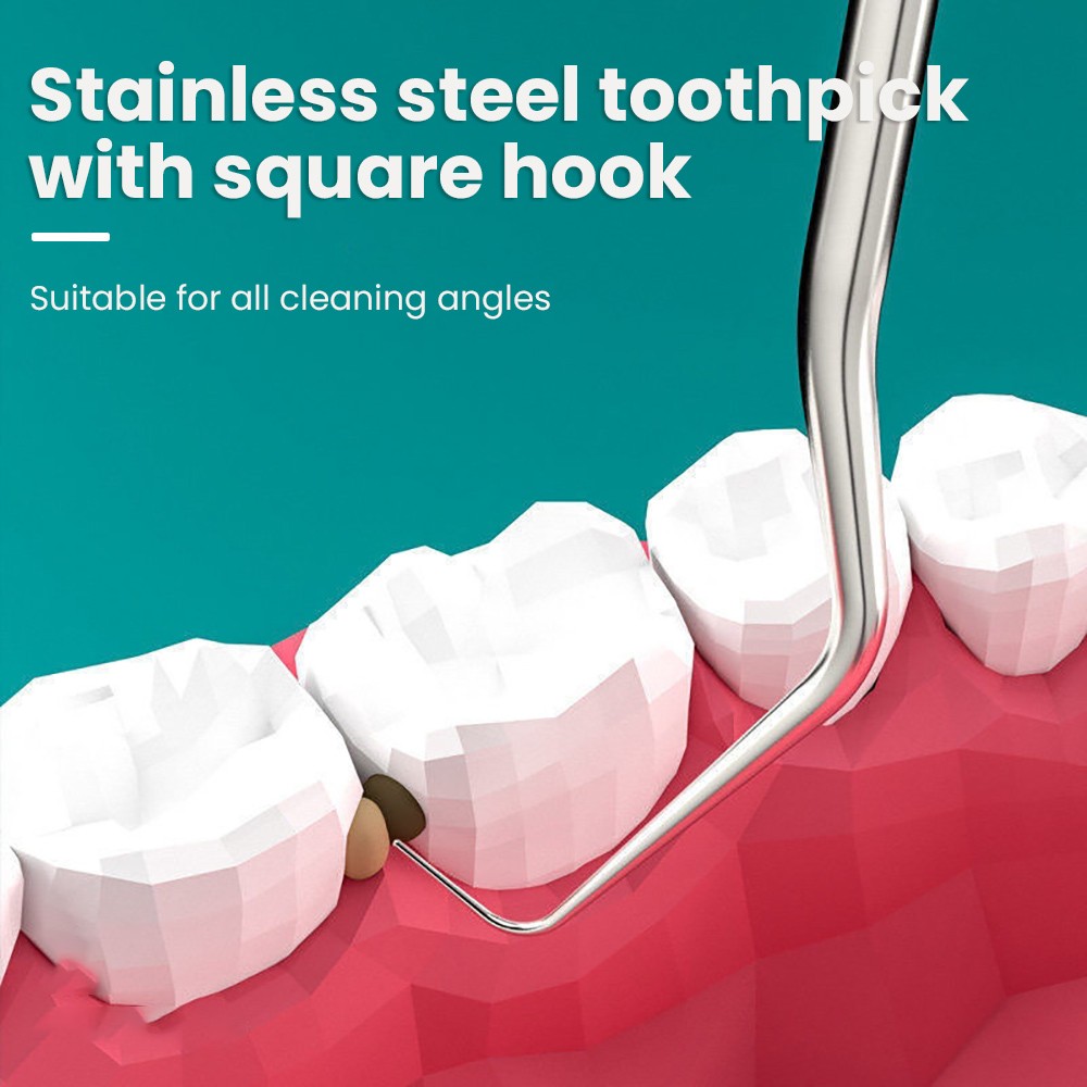 Juego de palillos de dientes portátiles de acero inoxidable de 8 piezas