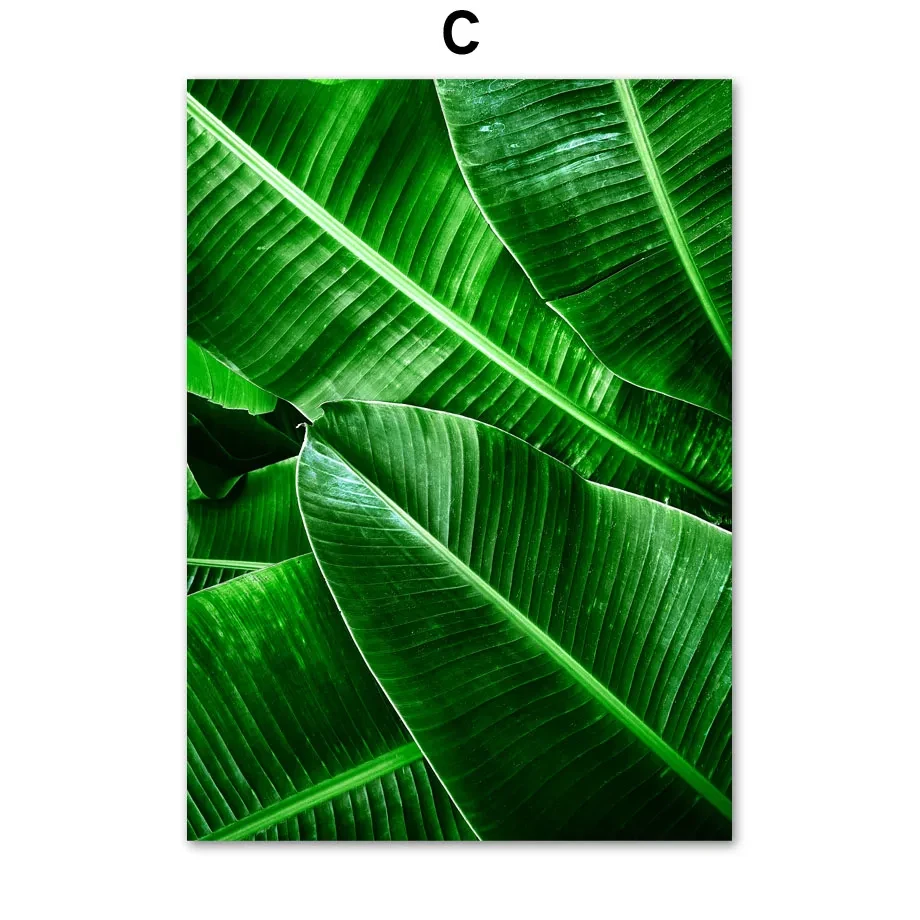 Pintura en lienzo de plantas verdes para decoración del hogar