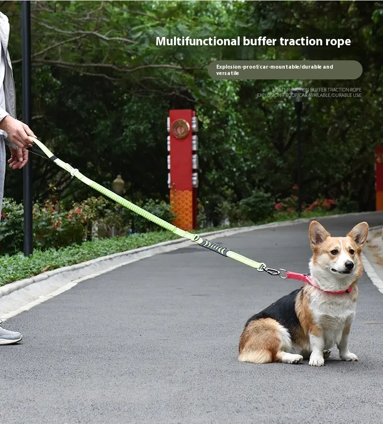 Cuerda retráctil para sujetar la mano de tu mascota