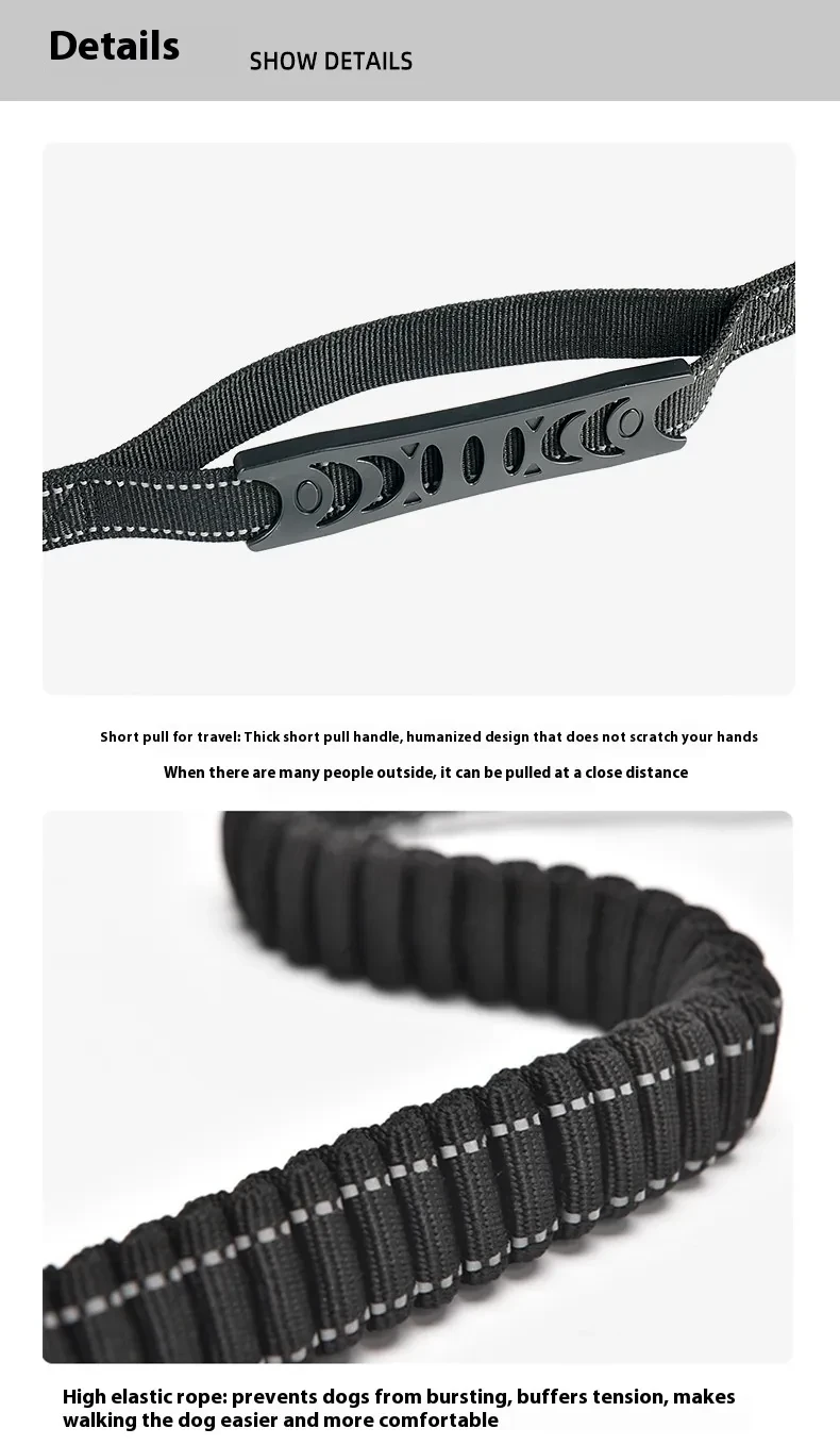 Cuerda retráctil para sujetar la mano de tu mascota