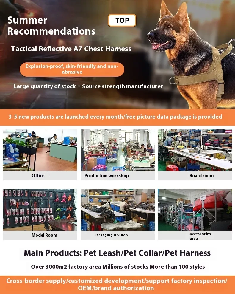 Cuerda retráctil para sujetar la mano de tu mascota