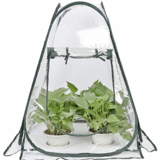 Invernadero anticongelante para plantas y flores de jardín al aire libre