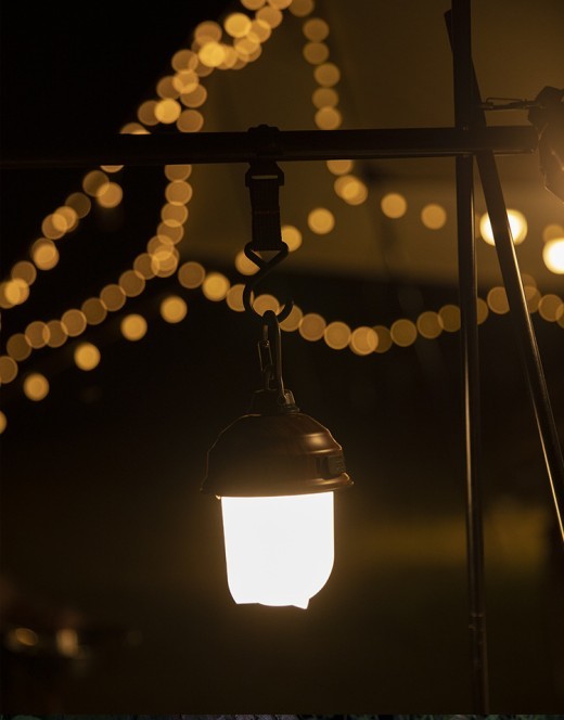 Tienda de campaña LED con forma de piña, recargable por USB, luz decorativa para disparar