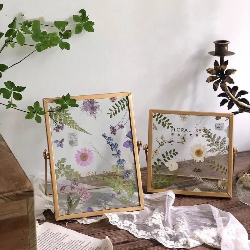 Marco de fotos creativo de plantas en estéreo retro