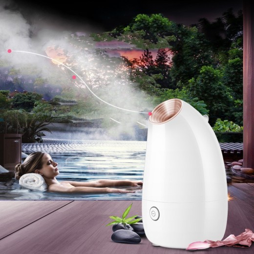 Vaporizador facial, instrumento de belleza, pulverizador facial de vapor