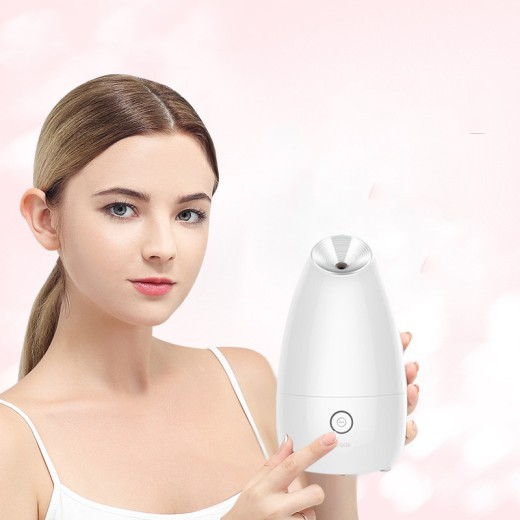 Vaporizador facial, instrumento de belleza, pulverizador facial de vapor