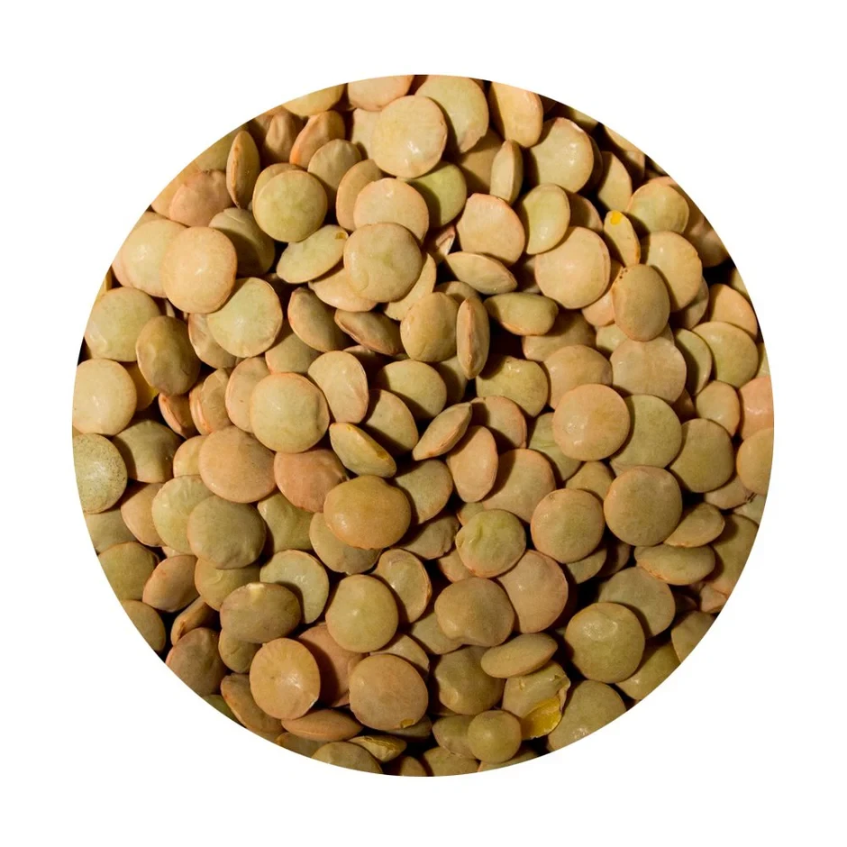 Lentils Brown Laird 500g