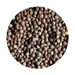 Lentils French Green 500g