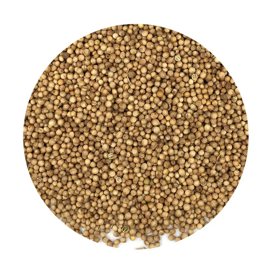 FRESH LINE Coriander Seeds 500g