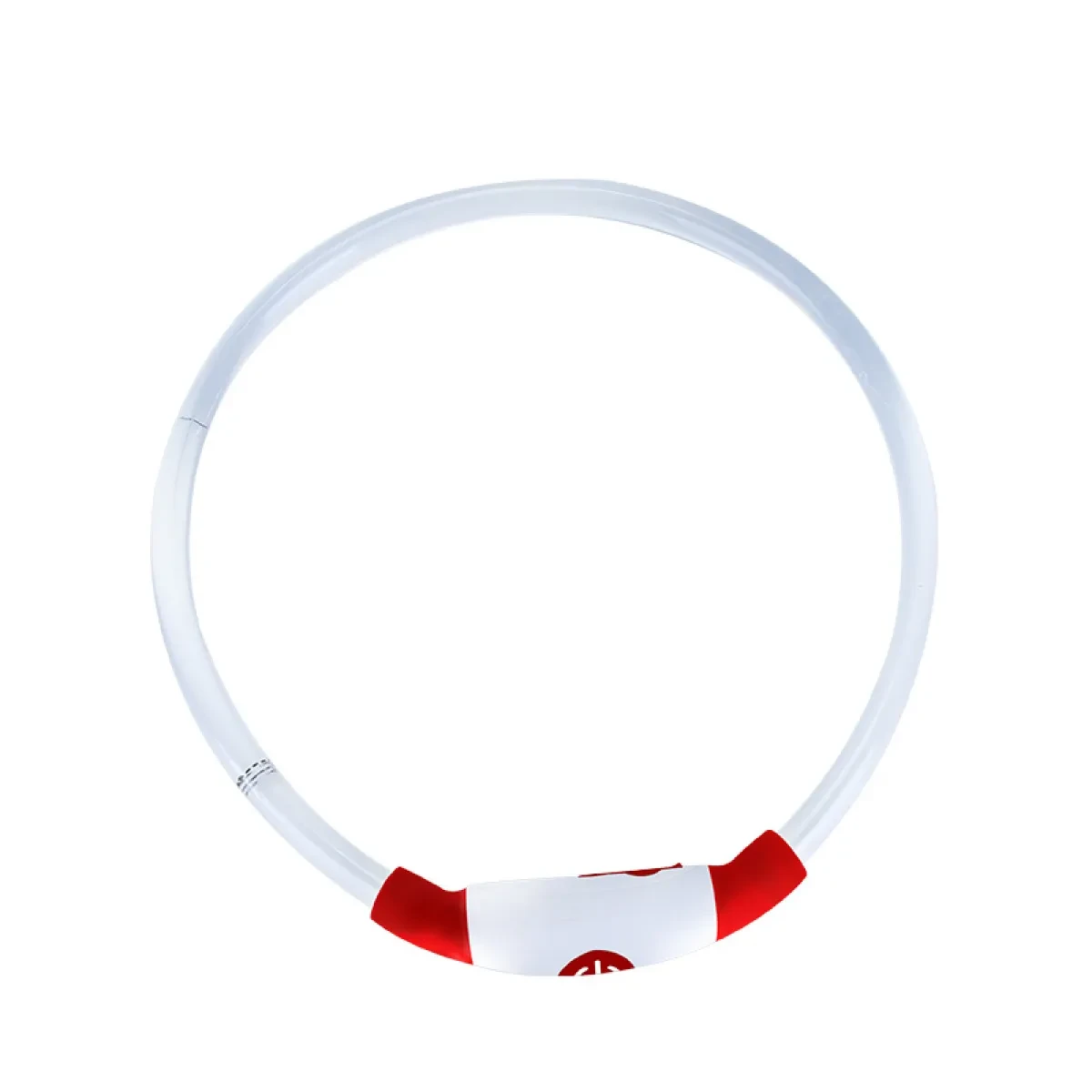 Glowing Dog Collar