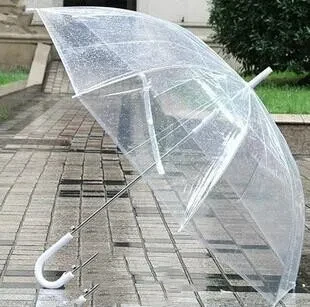 Clear Dome Umbrella