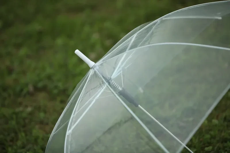 Clear Dome Umbrella